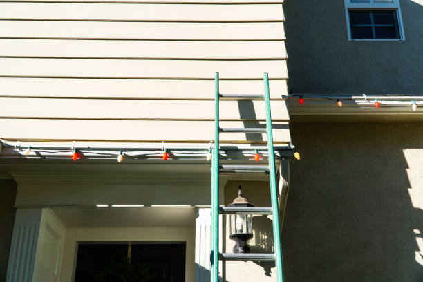 Best Siding Painting and Refinishing  in Citrus Heights, CA