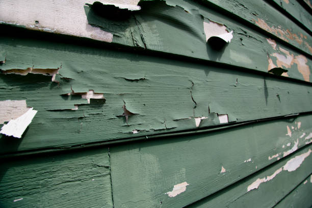 Best Residential Vinyl Siding Installation  in Citrus Heights, CA