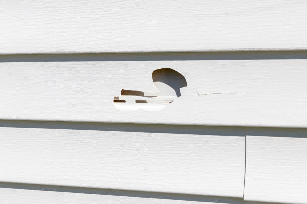 Best James Hardie Siding  in Citrus Heights, CA